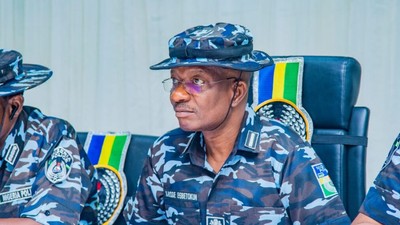 Acting Inspector-General of Police (IG), Mr Olukayode Egbetokun. [NPF]