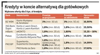 Gdzie po pożyczkę na letni wyjazd: kredyt w koncie lepszy niż oferta wakacyjna