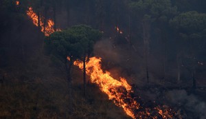 Šumski požar na Siciliji