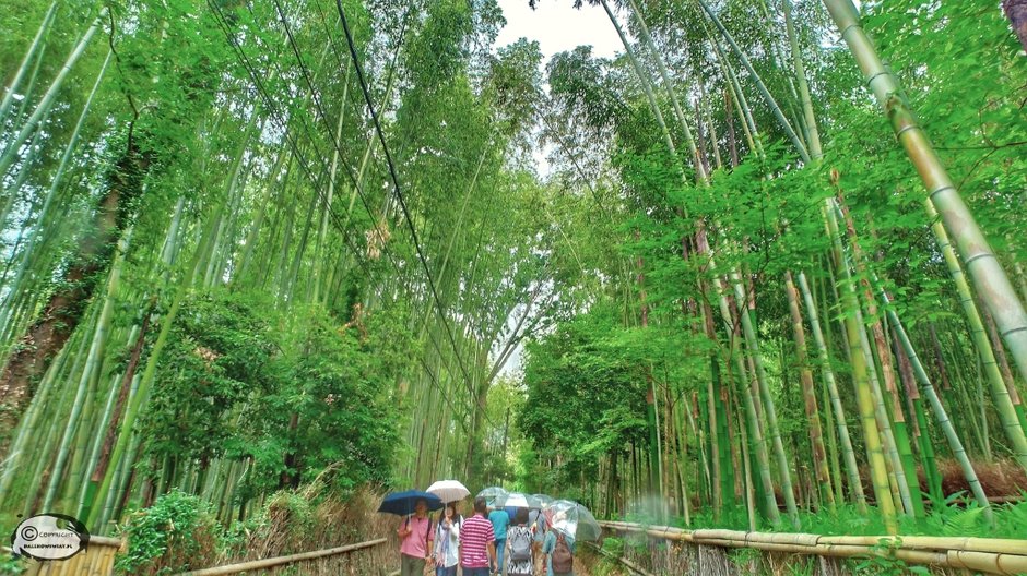 Arashiyama