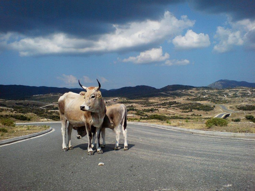 Urađena je kompletna infrastruktura, ali kuća i ljudi nema!