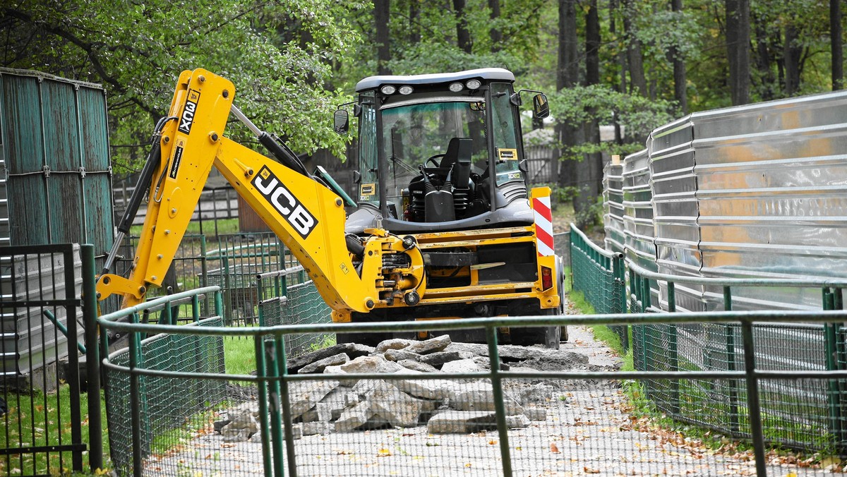 Jeszcze w tym roku w zoo w Białymstoku powstanie nowy wybieg dla żubrów. Pieniądze na ten cel zoo zaoszczędziło z dotychczasowych przetargów, tym sposobem do dyspozycji zostało ponad 400 tys. zł - podało Radio Białystok.