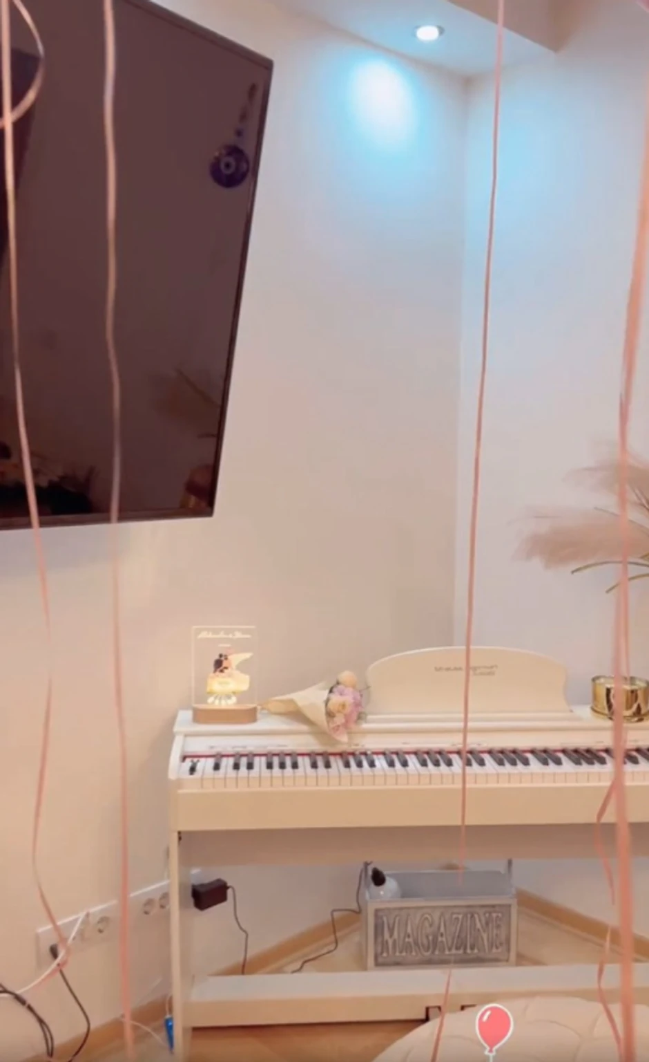 Stan Aleksandre i Stevana