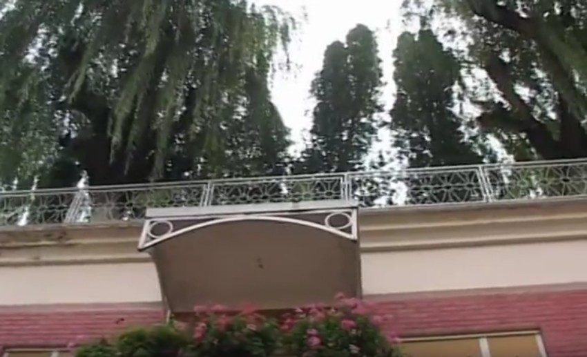 Pirot, pošumljena terasa pekara Dobrice