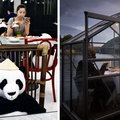 Pandy, szklarnie i gąbki na głowie. 10 zdjęć pokazujących, jak restauracje działają w nowej rzeczywistości