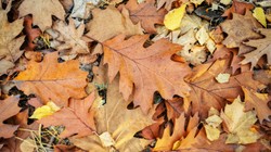 Pogoda na weekend. Czekają nas opady?