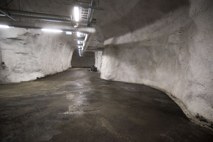 Globalny Bank Nasion, Svalbard, Norwegia, luty 2018. Autor zdjęcia: Riccardo Gangale, licencja CC BY-ND 4.0, źródło: https://www.flickr.com/photos/landbruks-_og_matdepartementet/sets/72157623004641656