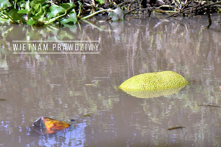 Wietnam. Ten sam Mekong, ale pełen worków foliowych i brudów.