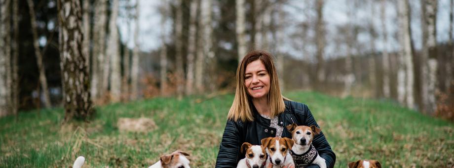 Jack russell terrier to rasa, która ma duże wzięcie wśród indywidualnych nabywców w Polsce. Hoduje je Patrycja Kowalka z Brodnicy.