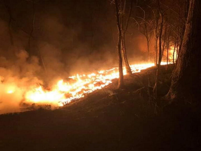 Pożar promenady w Trzebieży. Policja zatrzymała podejrzanych