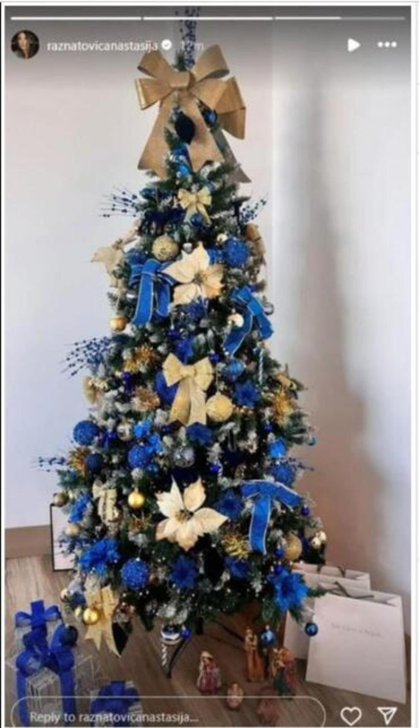 Anastasija Ražnatović