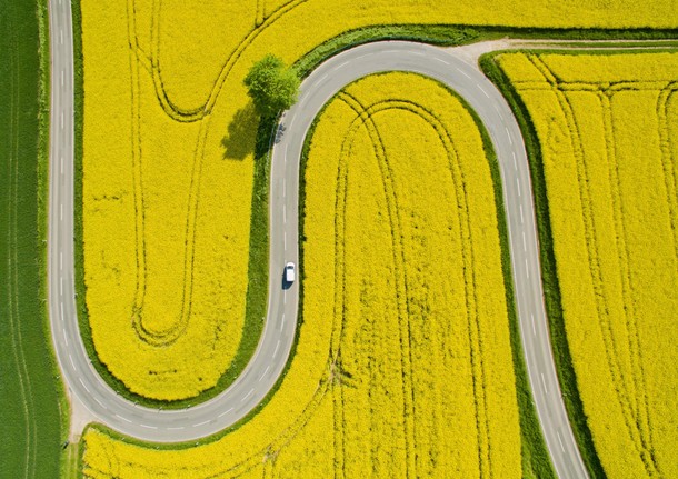 Curvy fun in northern Germany