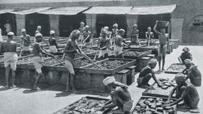 Indie. Do cna wyzyskana perła