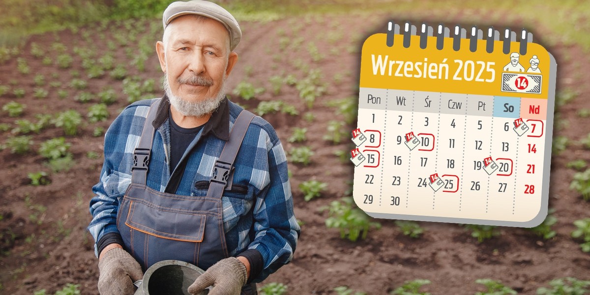 Dla wielu seniorów czternasta emerytura to szansa by spełnić plany, na które wcześniej brakowało środków. Zdjęcie ilustracyjne