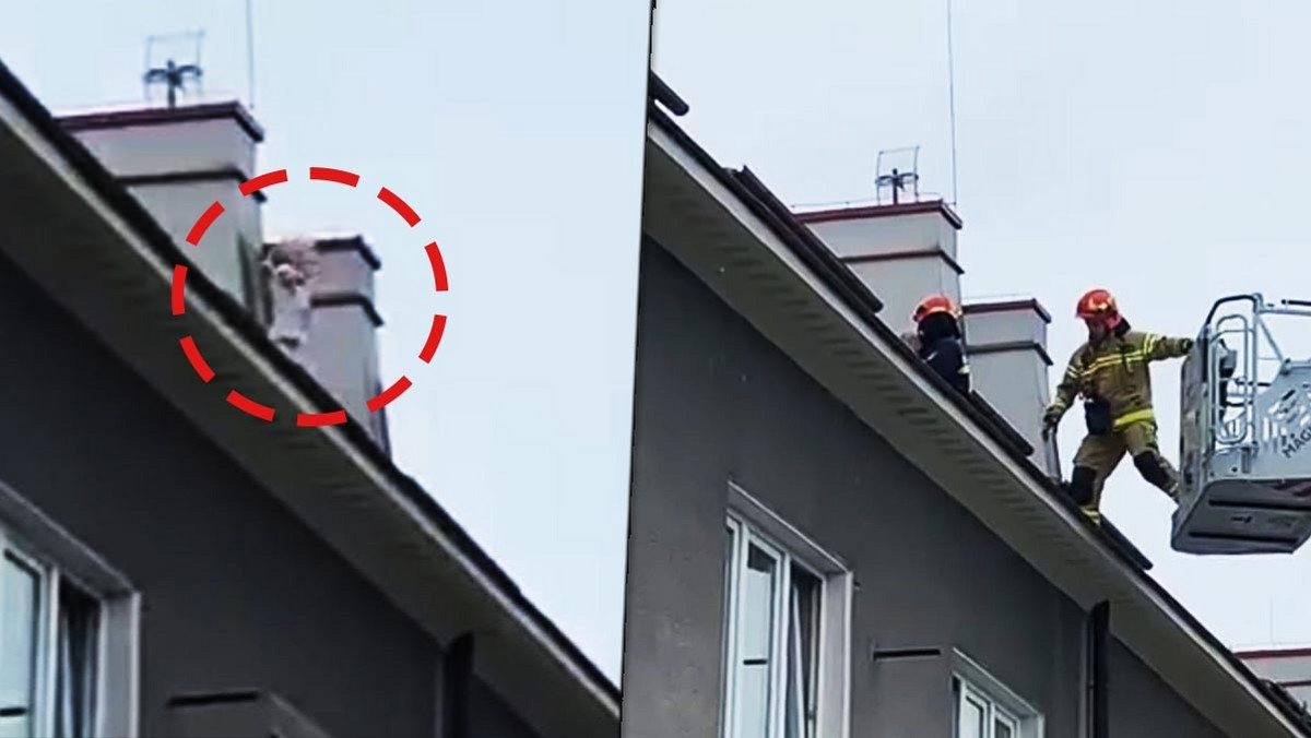 Warszawa: 4-letnie dziecko na dachu kamienicy. Akcja służb [ZDJĘCIA]