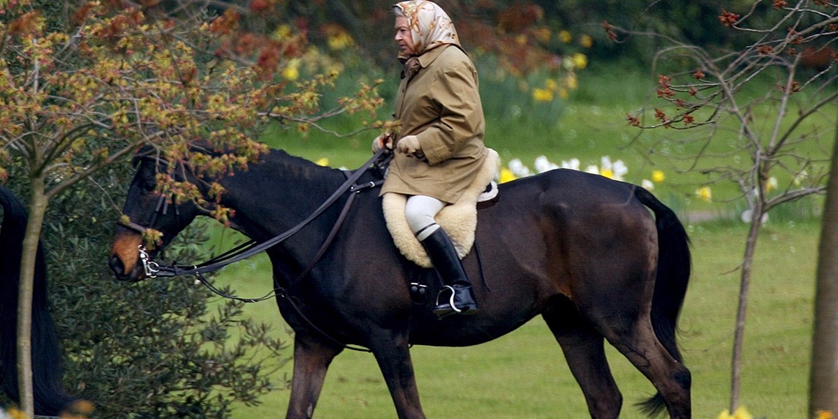 The Queen has made £7 million in prize money from her racehorses — and is one of the most successful owners in Britain