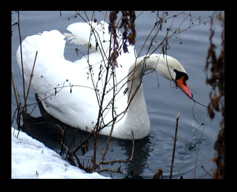 kasia lalala - Zima Park Sołacki Poznań