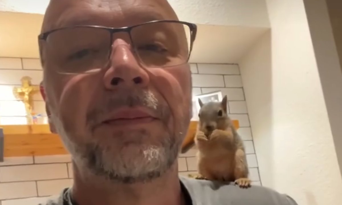 Uratowali jej życie. Wdzieczna wiewiórka codziennie wraca przed ich dom [wideo]