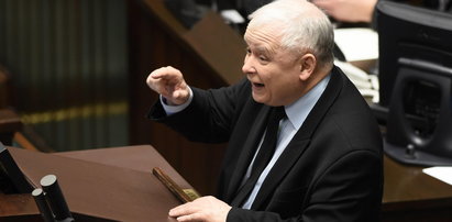 Awantura na sali sejmowej. Kaczyński zakrzyczany!