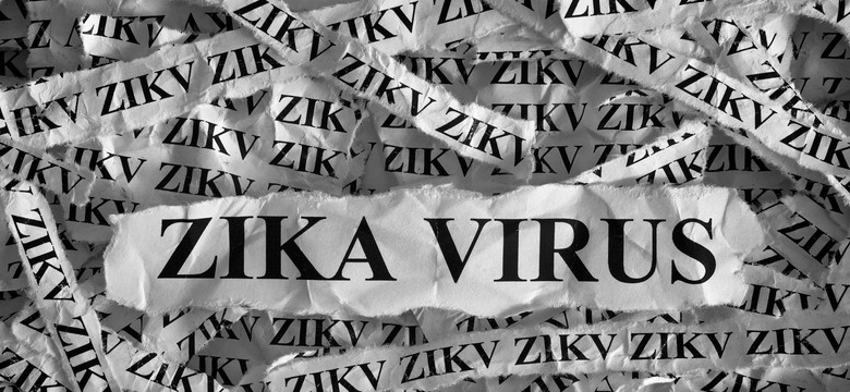 Kobieta w ciąży zarażona wirusem Zika. Pierwszy taki przypadek w Hiszpanii