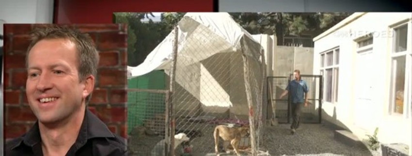 Spojio vojnike sa njihovim vernim psima