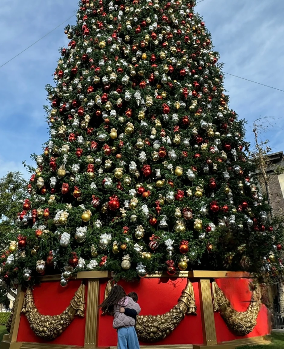 Jelisaveta Orašanin u Americi