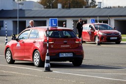 krótsze prawa jazdy dla seniorów. ministerstwo z jasnym stanowiskiem