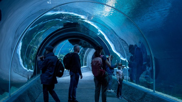 Łódzkie Orientarium to wielka atrakcja dla zwiedzających z całej Polski