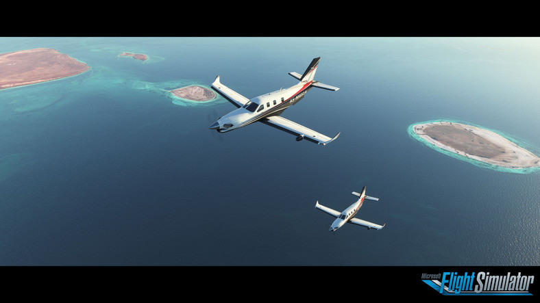 Microsoft Flight Simulator