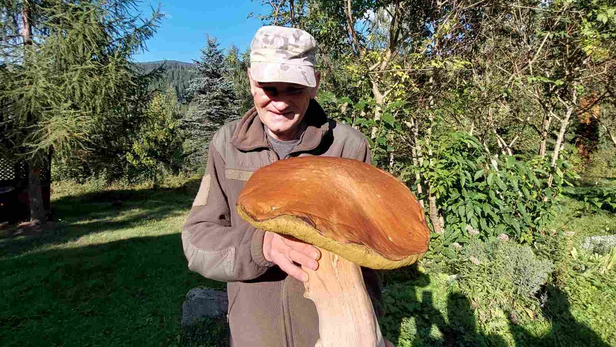 Grzyb gigant w Karpatach. Takiego borowika prawdopodobnie nie widzieliście