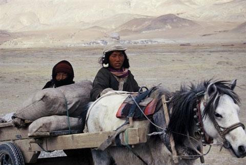 Galeria Tybet - 7 dni w Tybecie, obrazek 11
