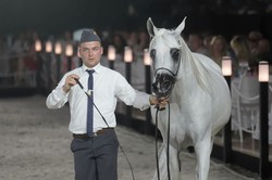 Pride of Poland: Aukcja koni arabskich czystej krwi przyniosła ponad 2 mln euro