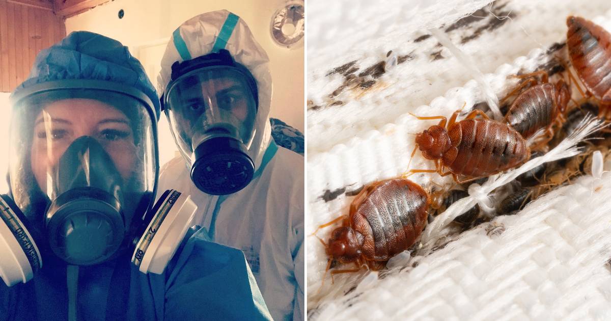 Bartek pracuje jako Dr Pluskwa. "Można zarobić, ale jest warunek"