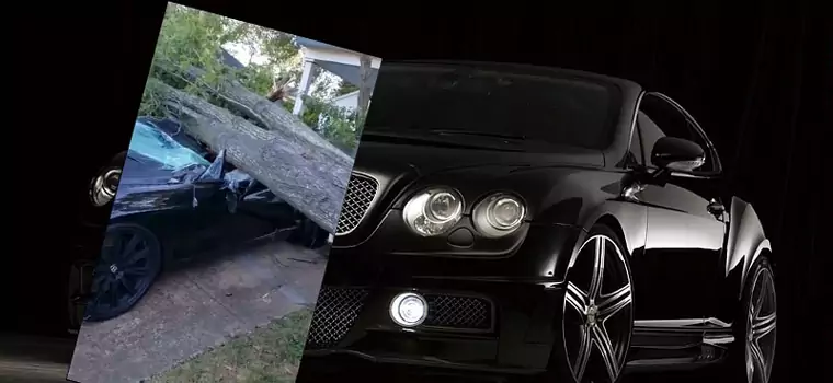 Bentley zmiażdżony przez drzewo - efekt działania speców od wycinki