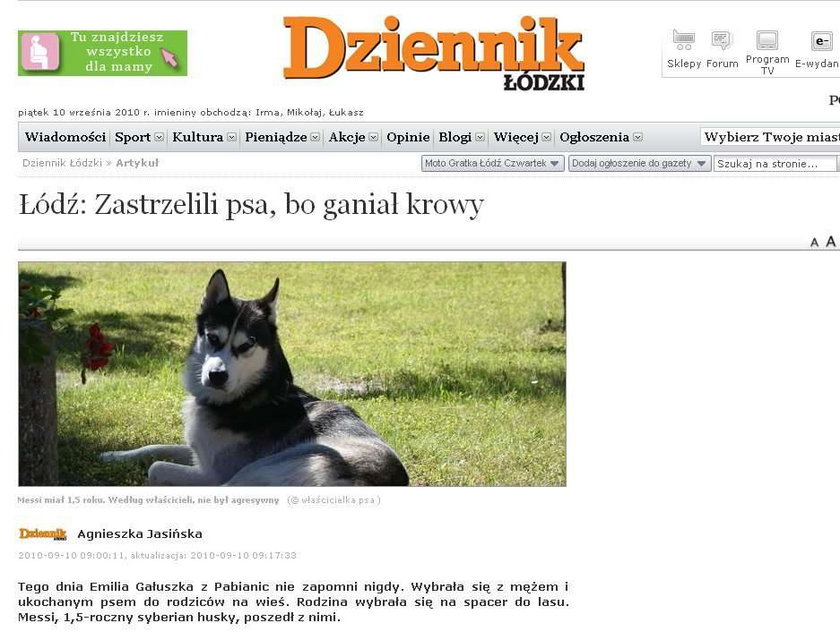 Kto jest winien? Zastrzelili psa, bo...