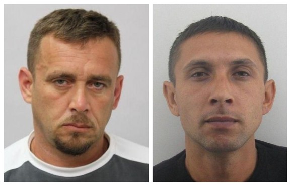Dragan Milosavljević i Damnjan Mitrović