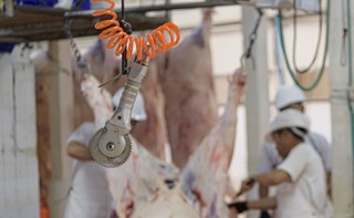 Wiceprezes Krajowej Rady Lekarsko-Weterynaryjnej: Wszyscy inspektorzy kontrolują rzeźnie