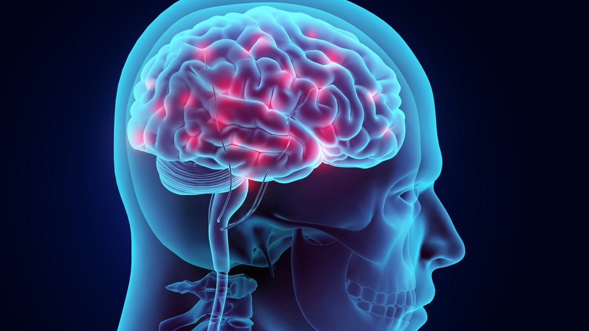 The 20-year-old brain turned into a glass block. Scientists solved the puzzle