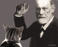 Sigmund Frojd
