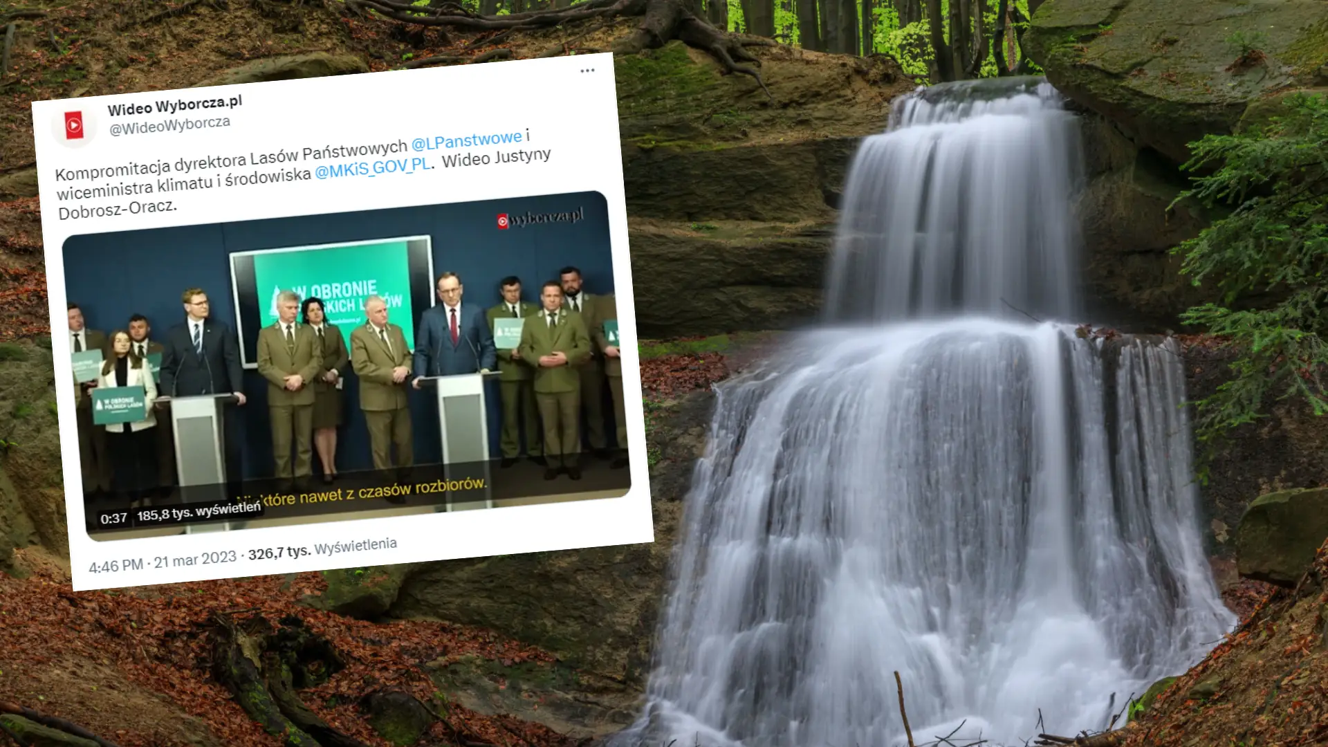 Kuriozalna konferencja Lasów Państwowych. Wiceminister dowiedział się, co ma pod opieką