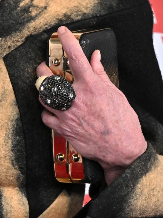 Stil Šeron Stoun kroz detalje