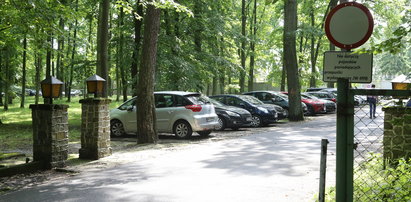 Wojsko idzie na wojnę z drzewami, bo... chce mieć parking! Szykuje się wielka wycinka w Lesie Kabackim