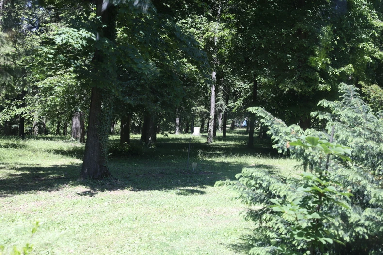 Grob Davorjanke Paunović