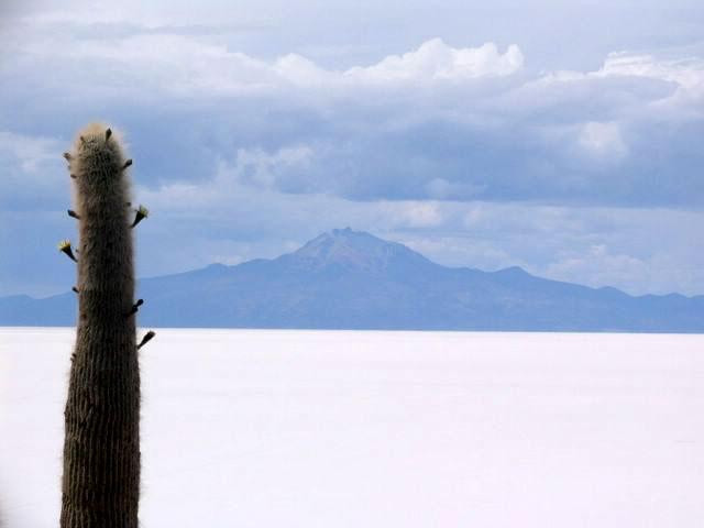 Galeria Argentyna, Boliwia, Peru - Z aparatem na Altiplano, obrazek 7