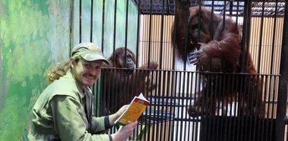 Eksperyment w polskim zoo. Czytają małpom, żeby...