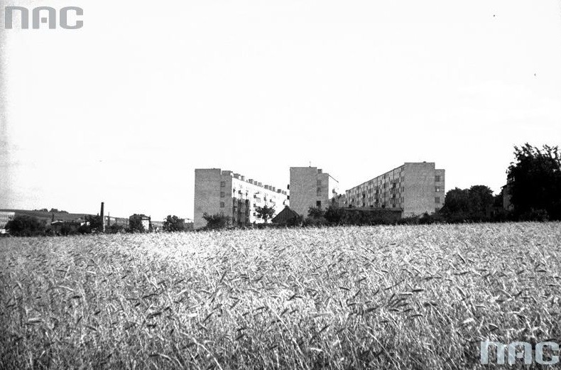 Panorama nowoczesnych bloków mieszkalnych. Rok 1932