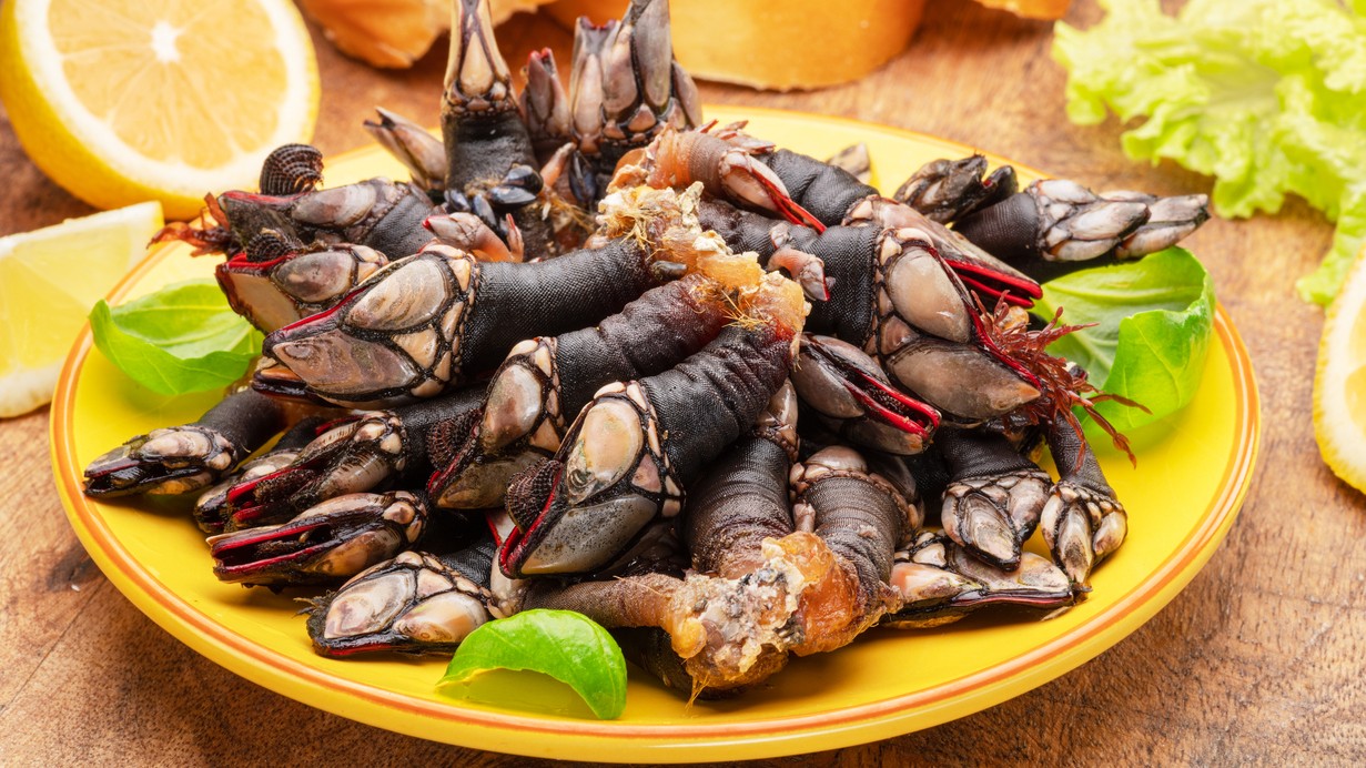 Percebes patria medzi najdrahšie morské plody na svete.