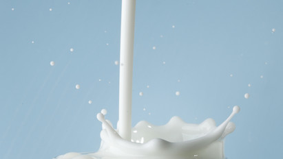 Ön vásárolt ezekből a tejekből a Metróban? Ha igen, semmi esetre se fogyassza el!