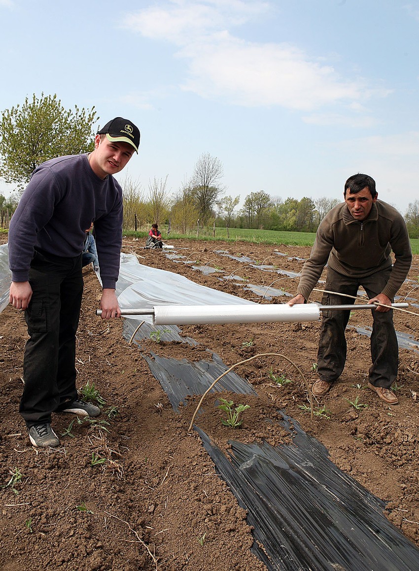 Austrijanci traže manje lubenice, kaže Dalibor (levo)