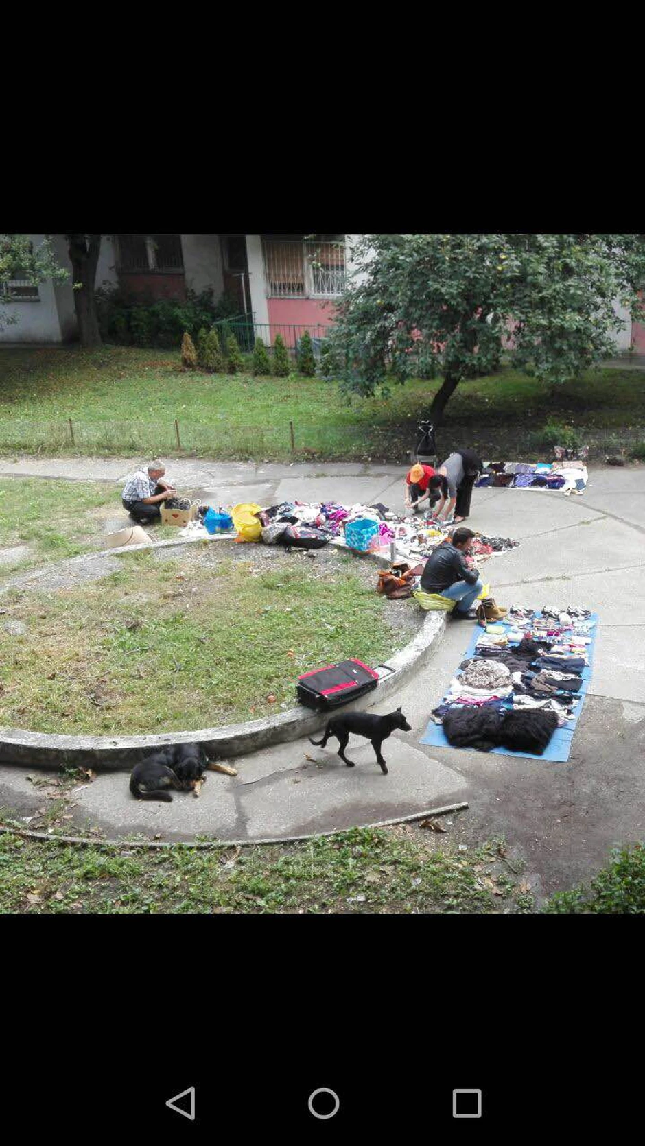 Ilegalni prodavci u Borči